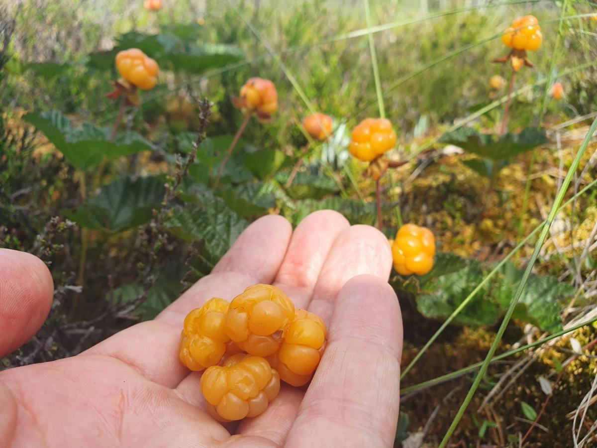 Appartamento Bjoernbyn Stugby Råda Esterno foto